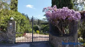 Villa Salviati - Image 3