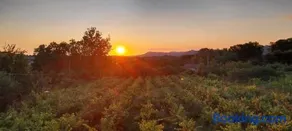 Isola Natura Farm Retreat Sardinia - Image 2
