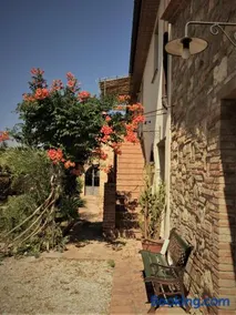 Poggio Magginga - Image 3