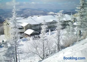 301 D Summit Dr. , Snowshoe Mountains, WV 26209 - Image 1