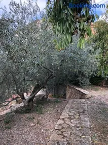 El Freginal - Image 5