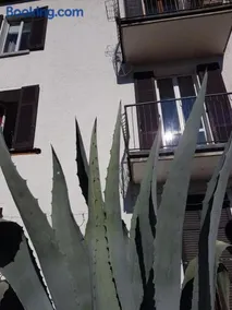Flora - Image 5