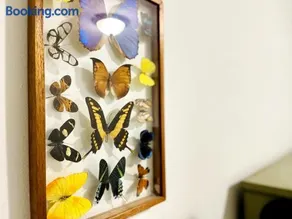 Modern Gorge Lodge - Image 4