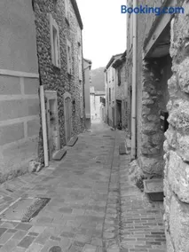 Les lavandes - Image 3