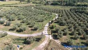 Casetta dell`Uliveto - Image 4