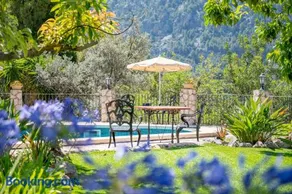 S Olivar Major - Image 4