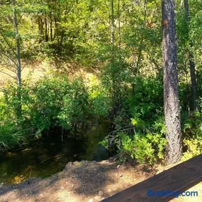 RV42 with Large Deck on a Creek - Image 3