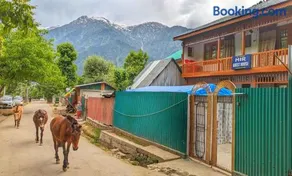 Mir guest house - Image 1