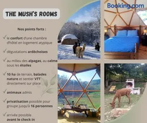 Mush's rooms - Image 3