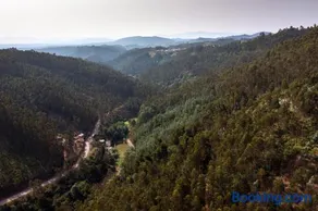 Encosta da serra do Bussaco Quintinha da Azenha - Image 4