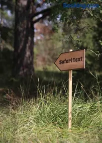 Glamping in the Trosa Archipelago - Image 3