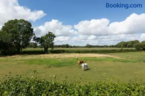 Stunning studio flat with dedicated private garden - Image 2