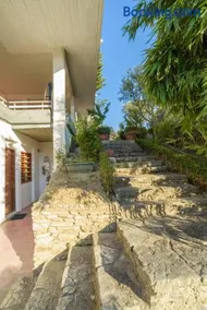 An Edens Garden Near The Sea - Pansion Youli - Image 2