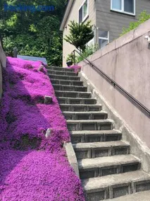 小樽祝津山荘2号楼 - Image 3
