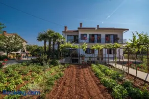 Apartman Ana - Image 4