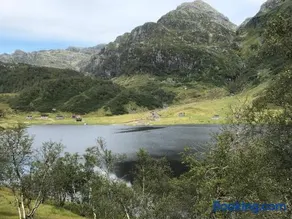 Kvamskogen & Hardanger Holliday homes - Image 3