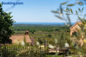 Villa La Vigna Blu - Image 1