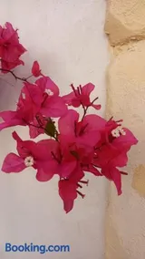 L'Alloggio dell'Artista - Image 4