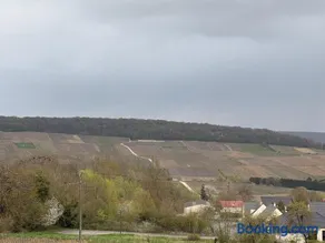 Le Gîte Champenois à FLEURY LA RIVIERE - Image 2