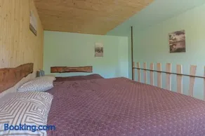 11 kopų - Image 3