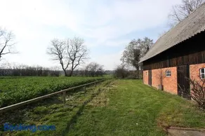 Reetdachkate am Feldrand mit grandiosem Weitblick - Image 1
