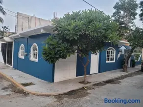Lirio Acuático - Image 3