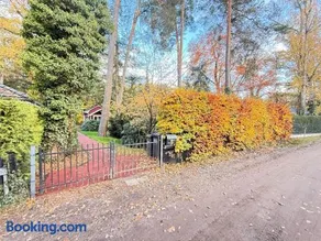 Chalet im Wald mit Sauna - Image 3