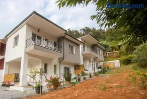 Evergreen Thassos - Image 2