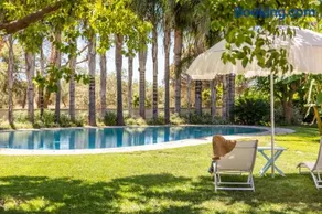 Villa Reginella - Rive del Salento - Image 3