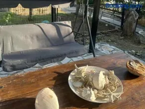 λυδια - Image 2