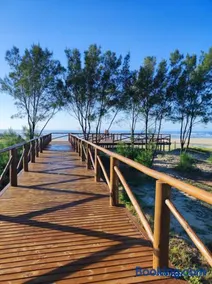 Amarela - Casa 100m da Praia, Sinuca e Churrasqueira - Image 1