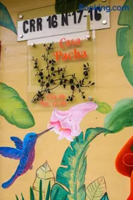 Casa Pacha - Image 5