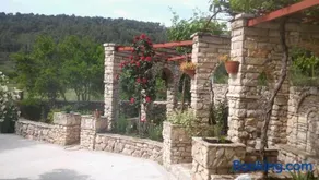 Ruža - Image 2