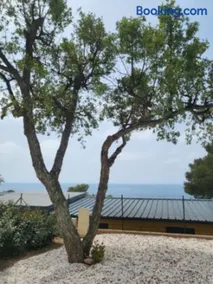 Camping L'ILE D'OR - Image 4