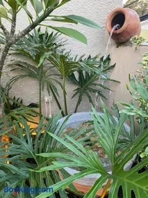 Studio-House with Tropical Garden - Image 2