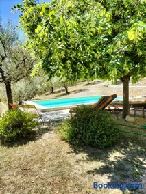 Gîte De Maric - Piscine - Image 3