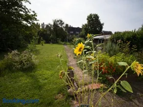 FeWo beim Schlafhaus - Image 2