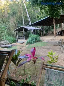Camping Vida Longa - Image 2