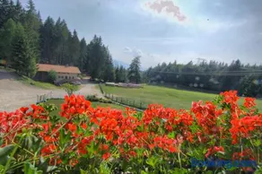 Gasthof Schneiderwiesen - Image 2