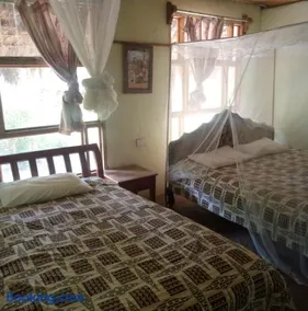 Oasis Eco Camp - Image 3