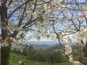 Boccaor - Image 2