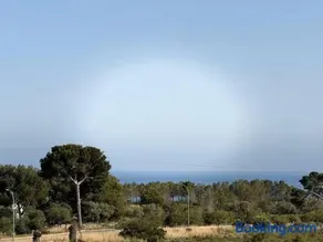 Estrella Del Mar - Image 4