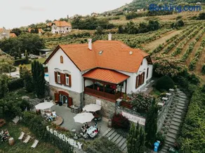 Badacsony Villa Ria - Image 3