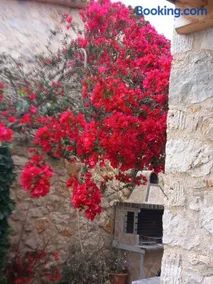 Dioni Villa - Image 3