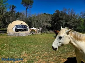La Cabane aux Chevaux - Image 2