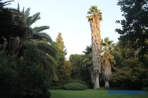 Escape al bosque! - Casa Vintage - Image 2