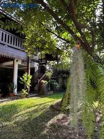 SJ house Unique wood Thai style - Image 1