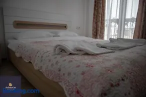 AristoCat Hotels Rasnov - Image 1