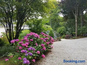 La Canopée des Pins - Image 2