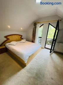 Ski Chalet Sinaia - Image 1